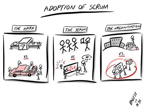 Adoption of Scrum