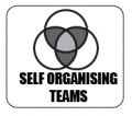 Self org teams.jpg